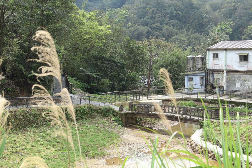 《圖說》為重現螢火蟲棲地,利用既有低窪池體自然水塘,提供動植物棲息與生長空間,在水塘與排水路徑種植高地錯落適生的植栽綠化。〈觀旅局提供〉