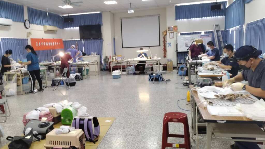 ▲彰化縣免費混種犬貓絕育三合一活動 熱烈進行中，盼減少流浪動物改善人犬衝突。（彰化縣政府提供）
