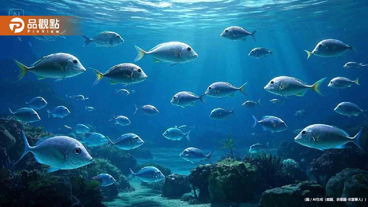 8.2強震海底景象曝！潛水員見魚群「集體躺平」避震