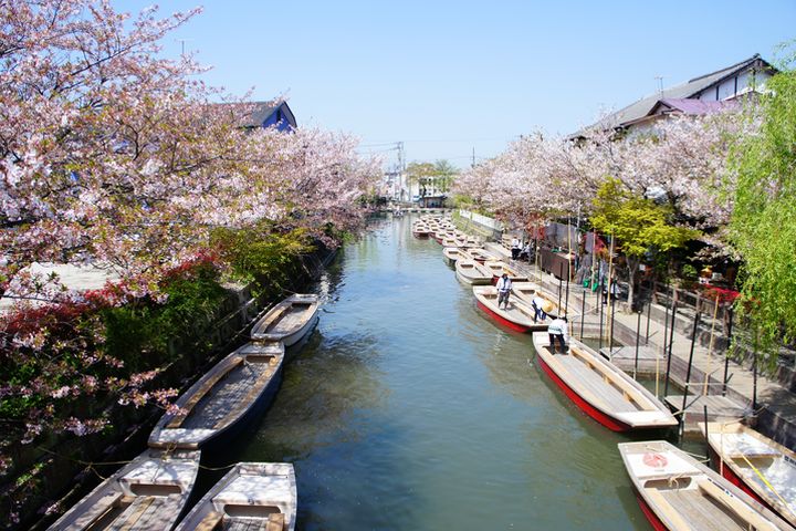 位於福岡南部的柳川,享有「九州威尼斯」美稱。 圖:shutterstock/來源
