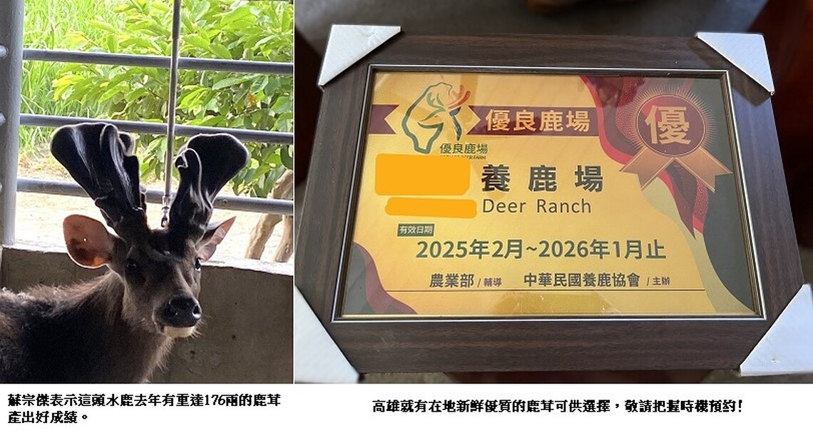 鮮享在地  高雄鹿茸開賣囉！
