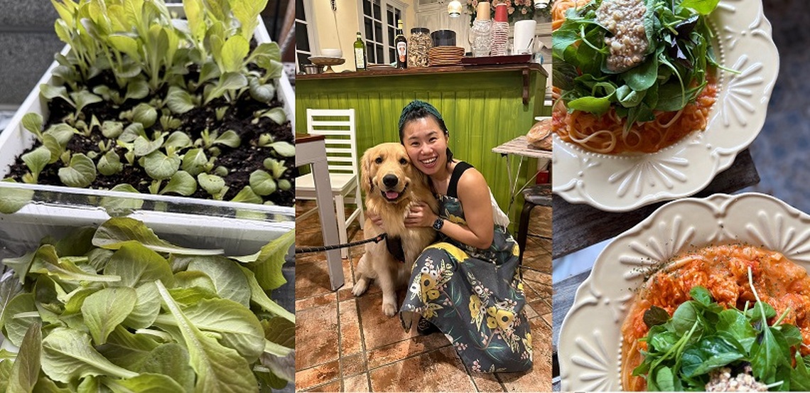 廚餘變黃金 花蓮邦富雅打造永續生菜生態圈 通過SIIR服務業創新研發補助