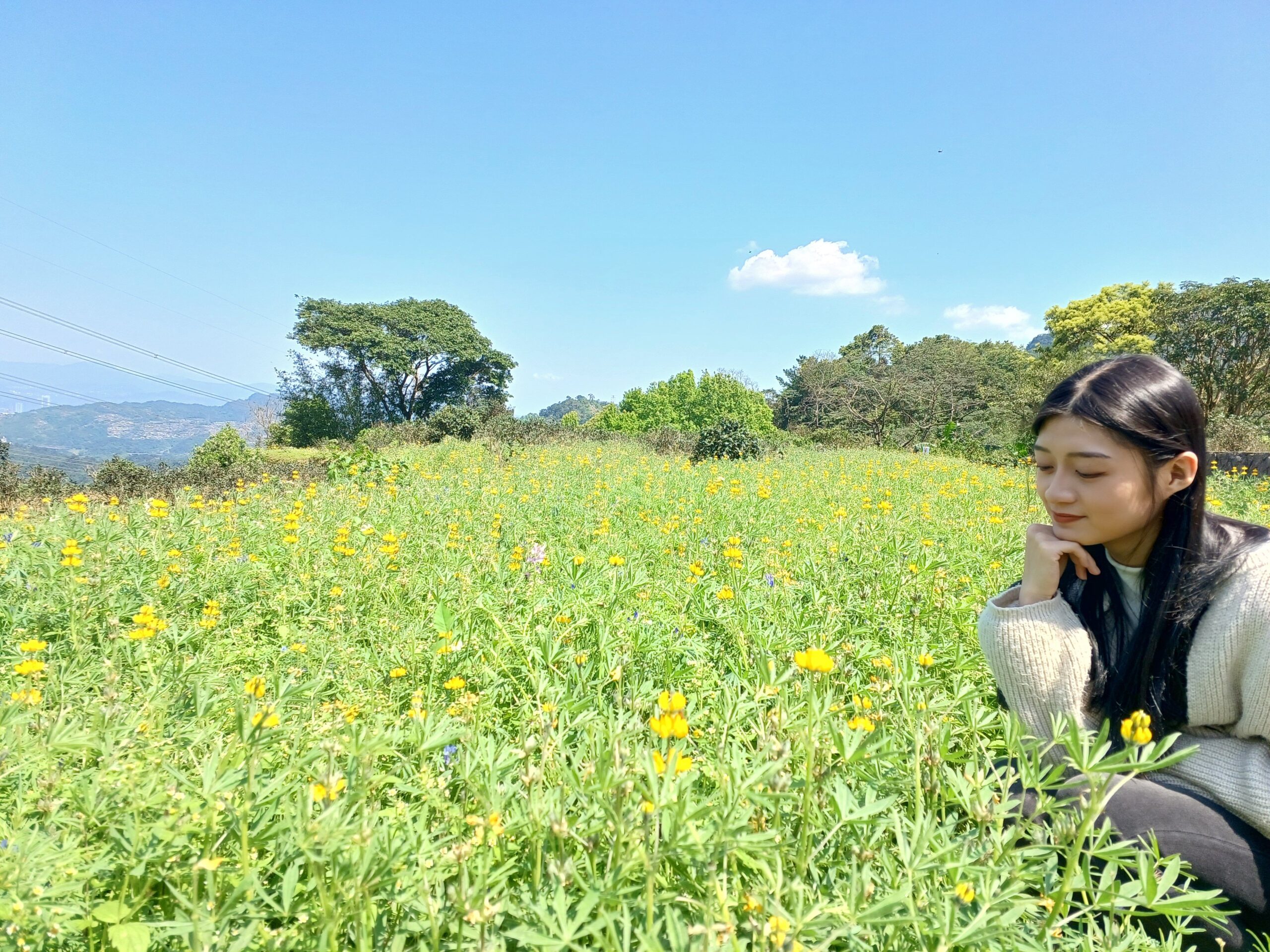 貓空小旅行　品茶賞景感受農村魅力