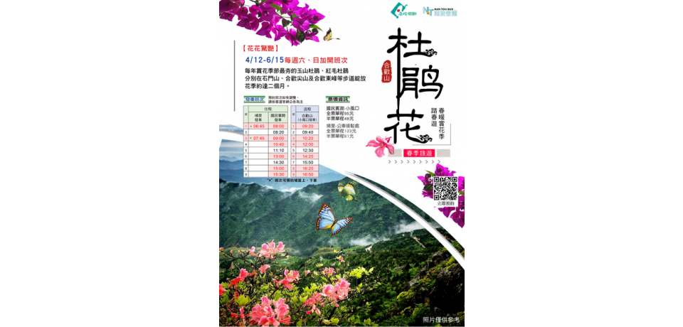 合歡山杜鵑花季疏運啟動 4月12日至6月15日假日實施,歡迎預約搭乘