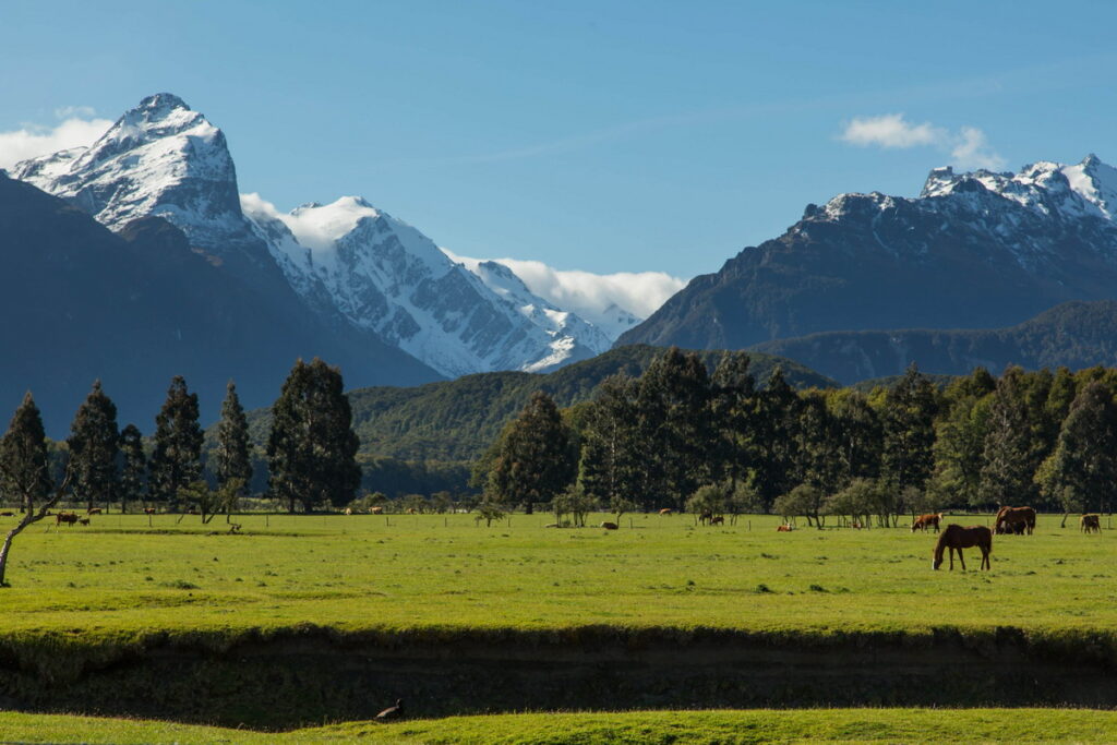 在111天的環球之旅中，名人極致號將帶領旅客深入紐西蘭，感受大自然的魅力。（名人郵輪提供）