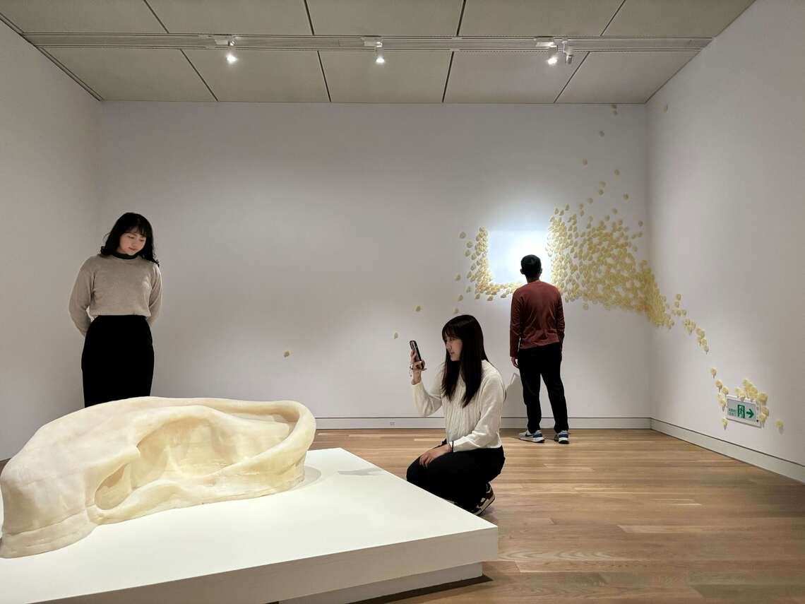 南方珍珠再現 高美館女性藝術展4/4登場