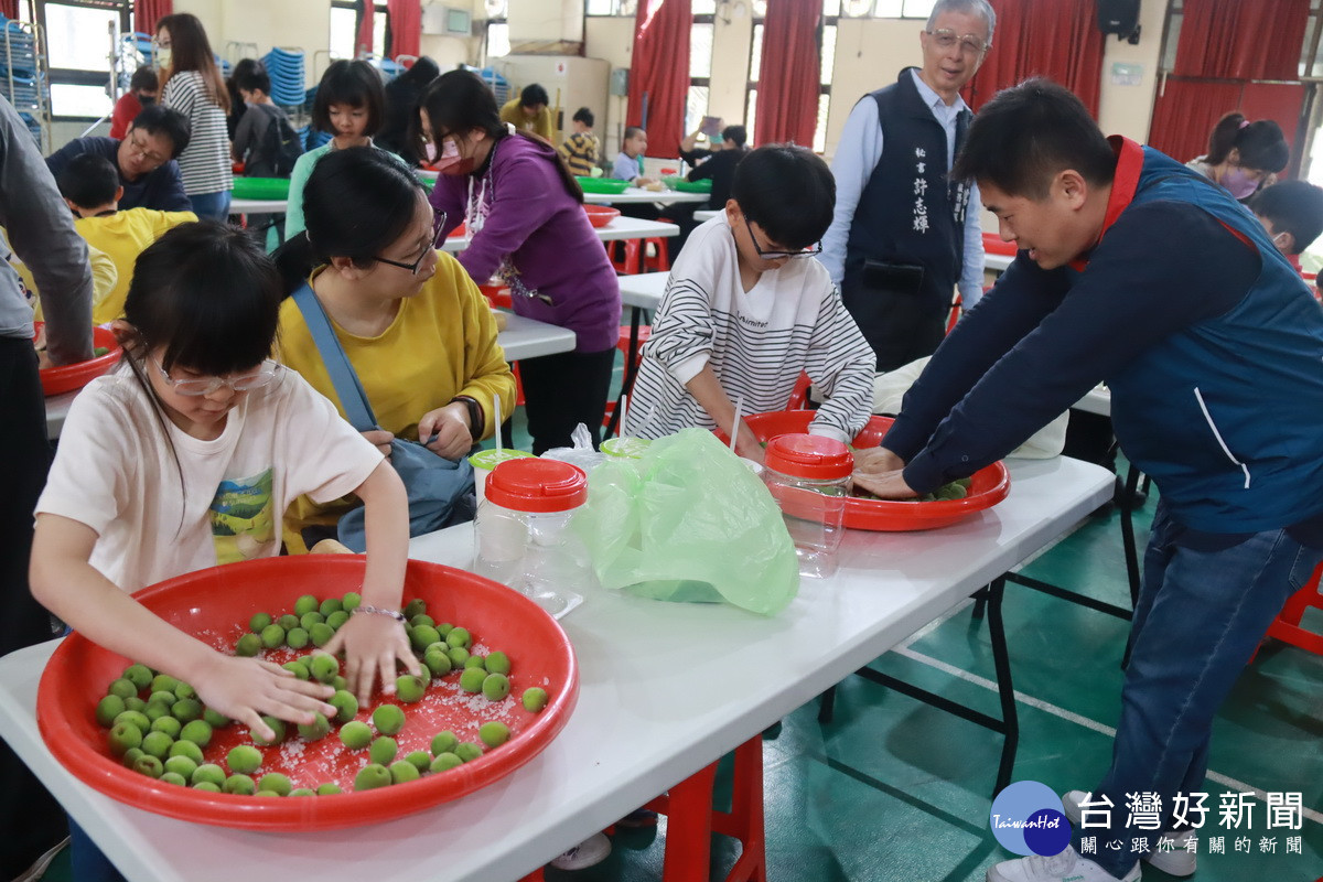 青農聯誼會長連晏瑩與學童一起搓揉青梅。（記者扶小萍攝）