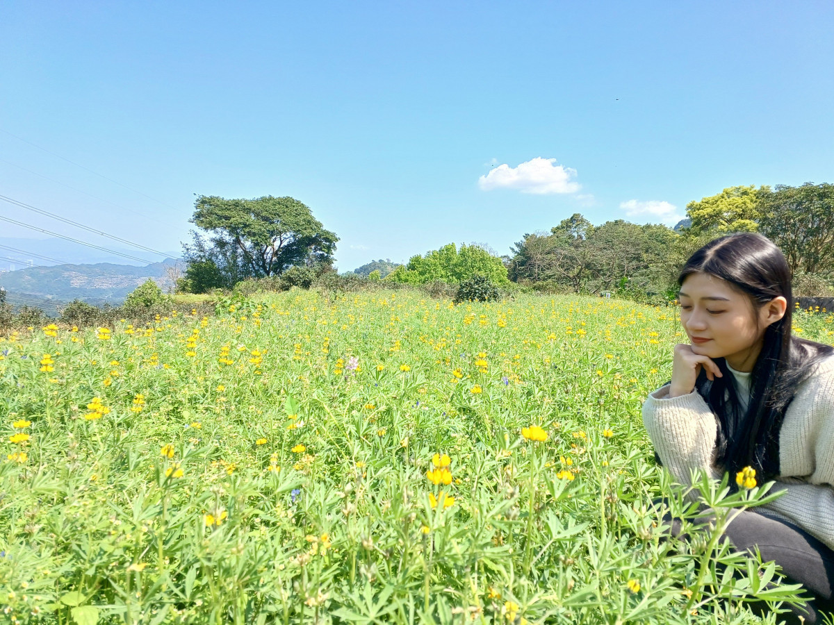 樟樹步道隨著四季更換花海品種（圖／北市大地工程處提供）