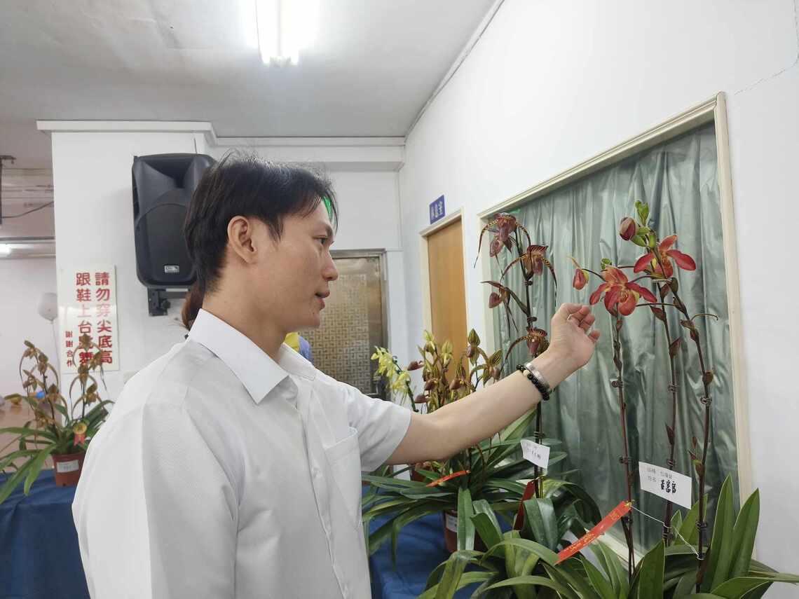 屏東九如農會3樓蘭花展 聽專員講解評審角度
