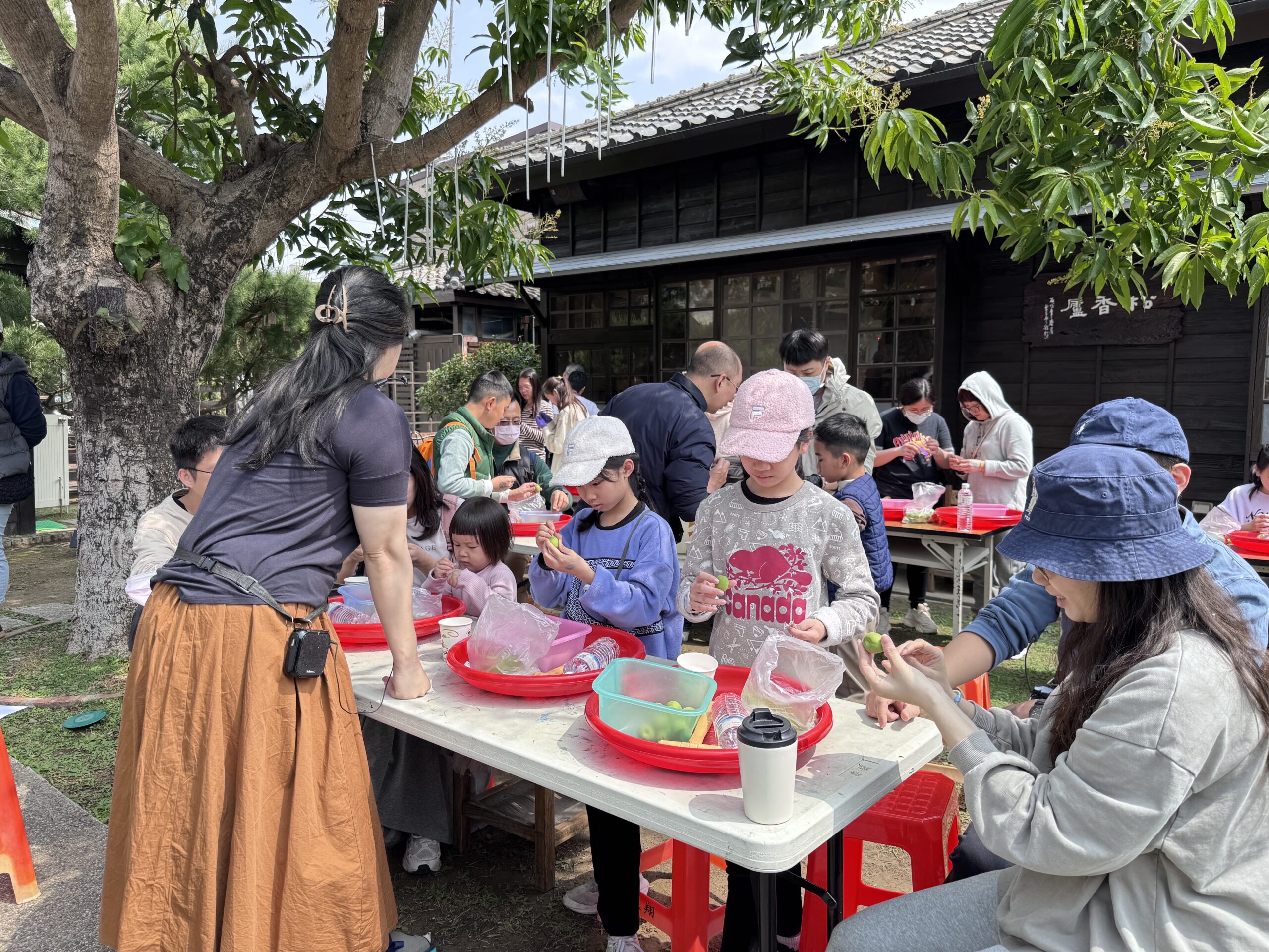 蕭如松藝術園區「家裡梅大人」醃脆梅開跑　親子同樂共創溫馨時光