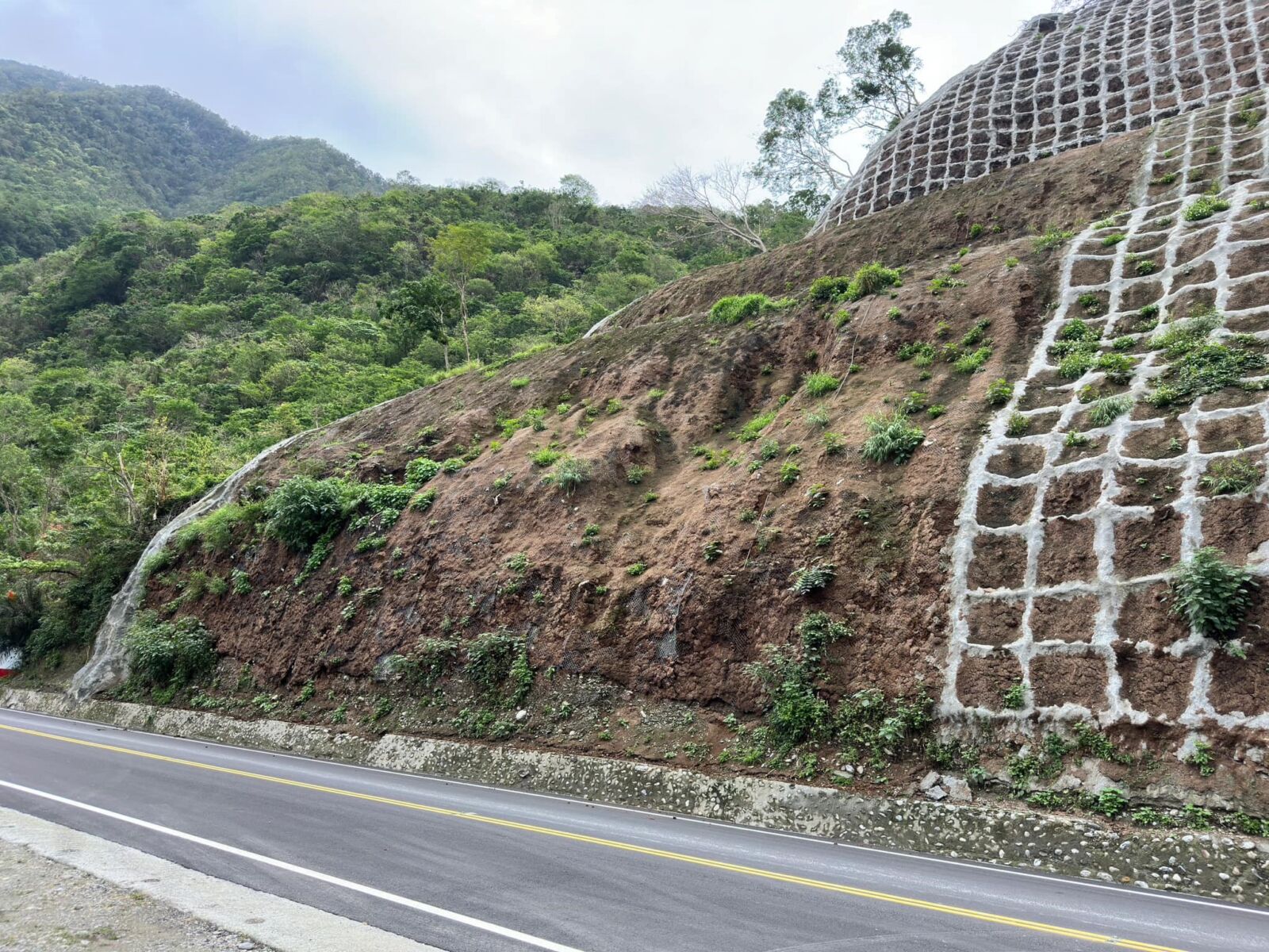 內政部投入30億重建太魯閣　盼早日還花蓮鄉親山林美景 217