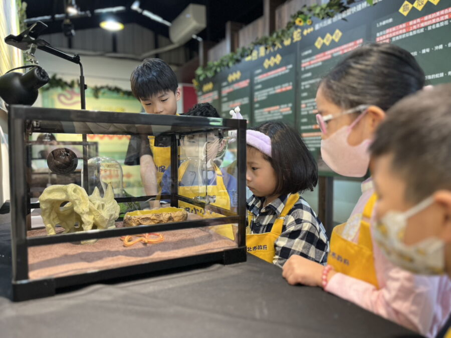 圖／小朋友學習玉米蛇的飼養方式。（新北市政府動保處提供）