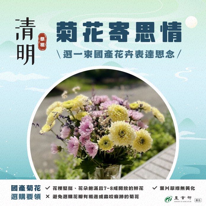 清明慎終追遠首選!掌握3撇步挑選菊花傳達思念 65 487629727 1071686415000104 3977791858275956757 n