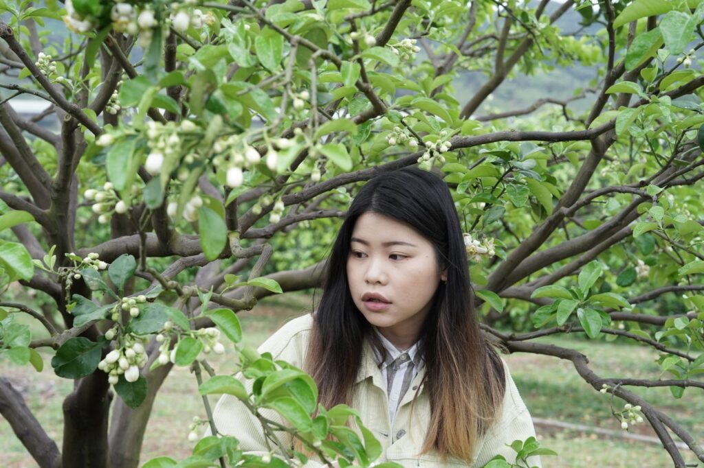 新北八里柚花秘境 連假踏青首選