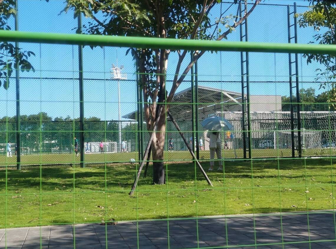 漾新聞｜「場地不佳不玩了！」中華女足友誼賽喊卡 紐西蘭退賽引遺憾