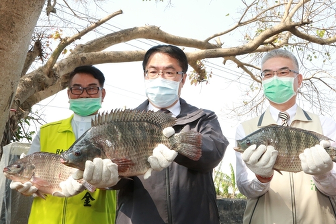 美課台關稅衝擊台南蘭花鯛魚業將以預備金因應