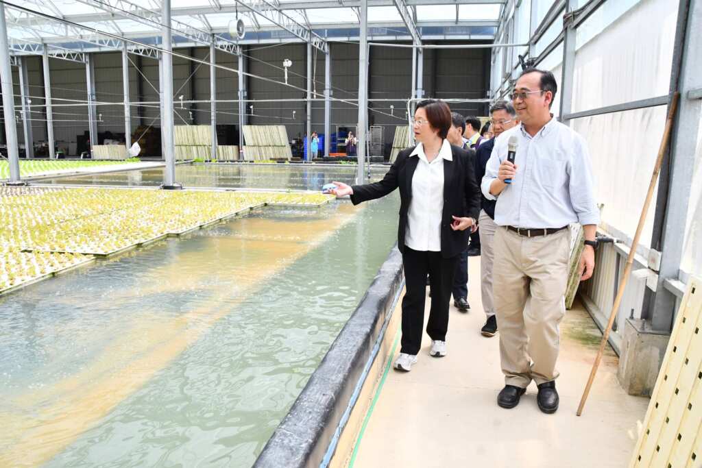▲彰化縣長王惠美走訪周慶安博士於大溪設立的「日光蔬活」深水式水耕蔬菜農場，了解AI與綠能結合的未來農業模式。（彰化縣政府提供）