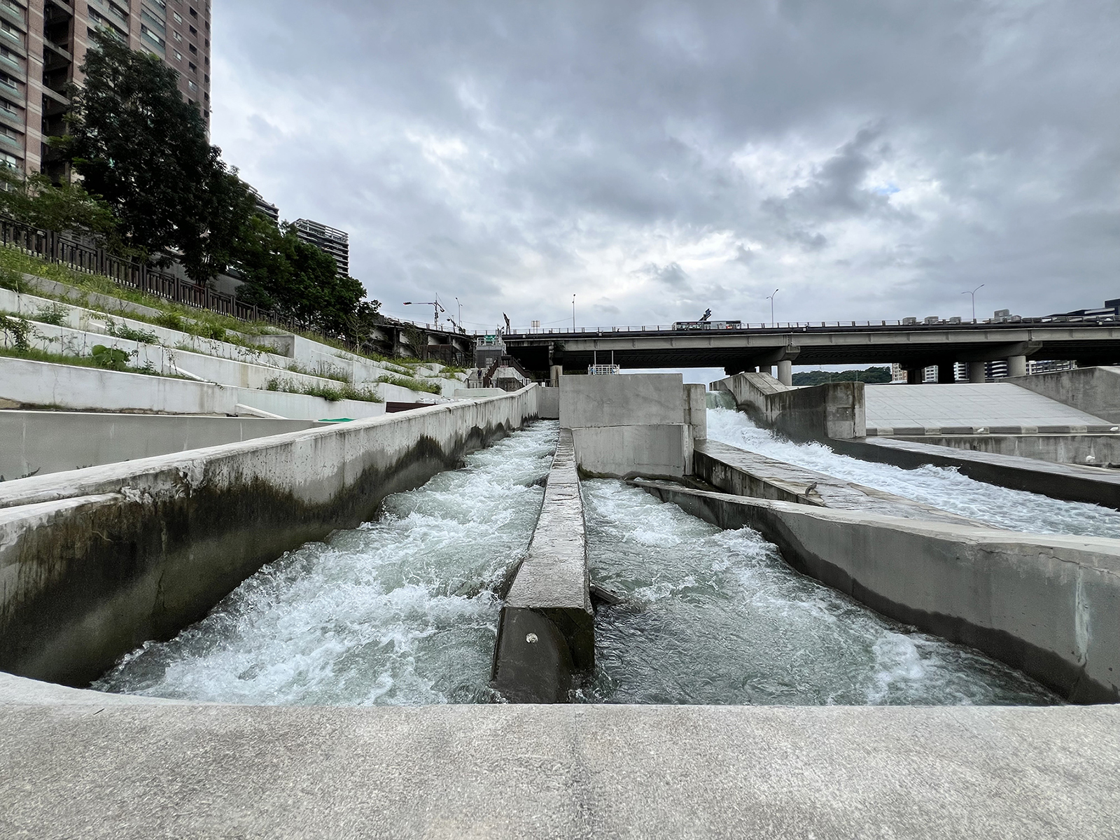 《圖說》碧潭堰魚道的建置至今已記錄多達63種魚類及10種蝦蟹類。〈水利局提供〉