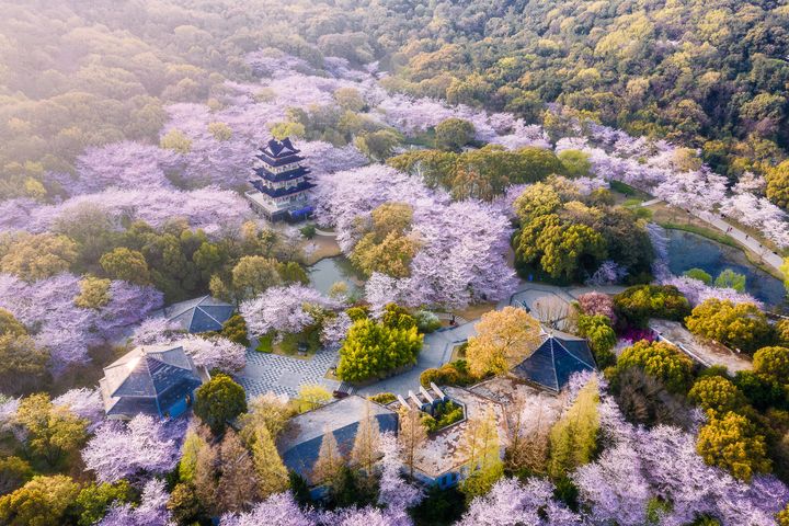 精選春遊目的地!人間四月天 跟著美麗中華旅行去