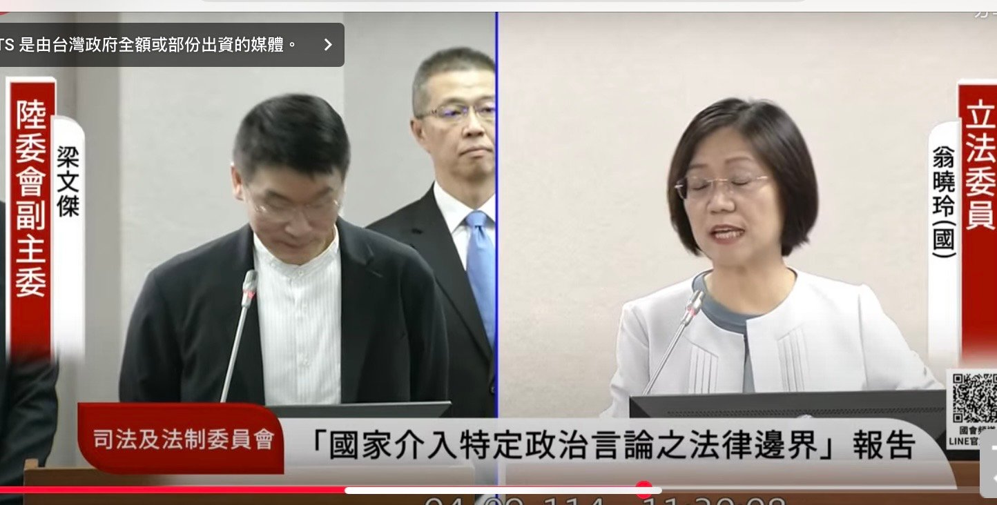 翁曉玲針對全面清查中配居留文件很不滿。她批評陸委會是故意針對中配，搞得雞飛狗跳人仰馬翻。翻攝立法院直播