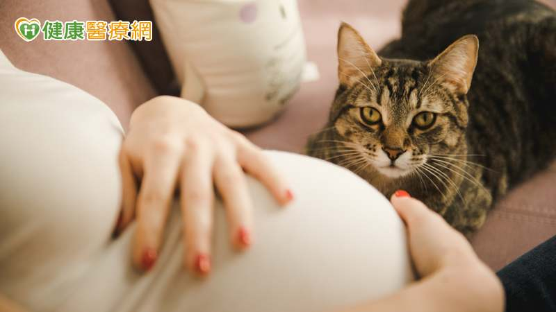 孕媽咪難題！寶寶與毛孩只能二選一？從免疫反應看為何「兩全其美」不是問題！