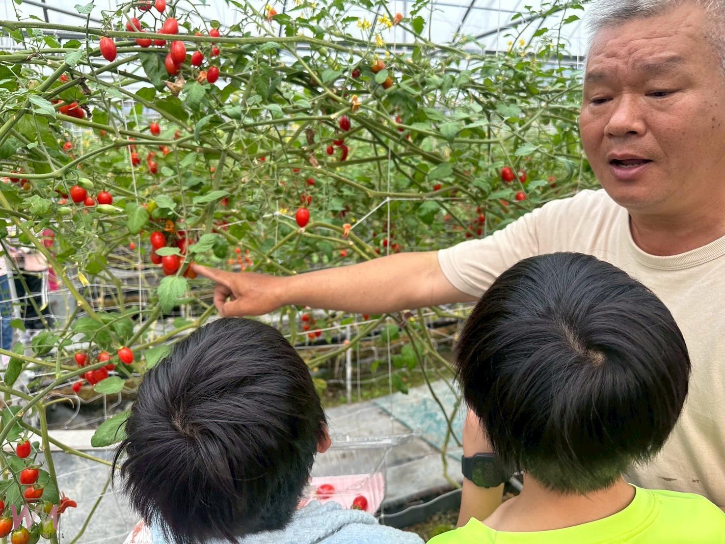 青農帶路 花壇鄉農會攜手文祥國小展開幸福農村體驗課程 - https://www.watchmedia01.com