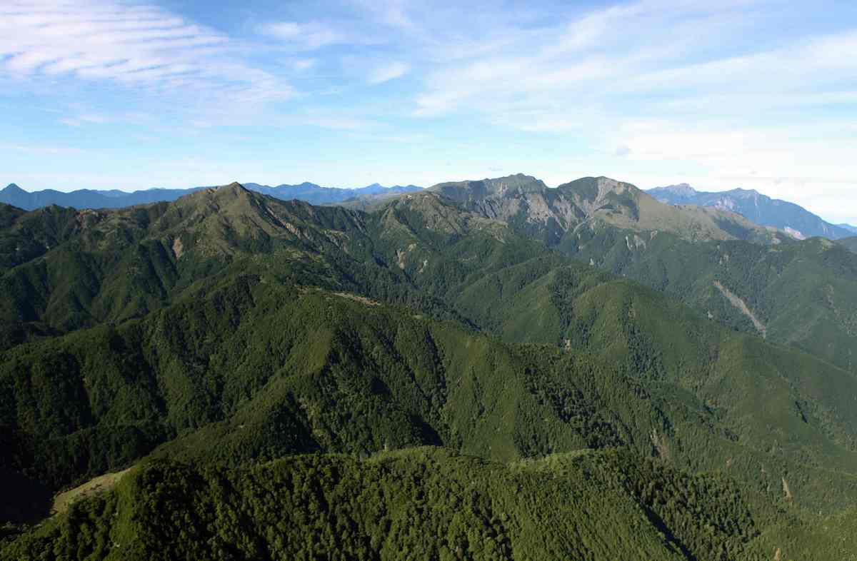 玉山國家公園守護廣袤的原始森林,這片森林是臺灣黑熊及許多野生物的家園(金科國際多媒體有限公司攝,玉管處提供)<br /><br /> <br /><br />