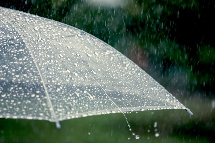 八德工人下水道施工遭沖走!消防全力搜救中 59 umbrella rain