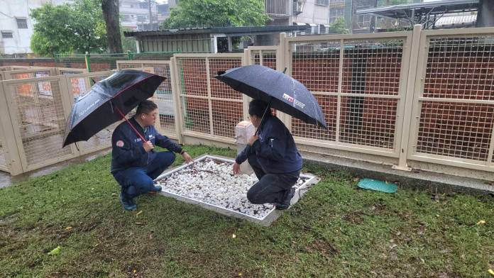 迎接國際寵物日 桃市5處寵物友善專區全新登場 69 806045 0