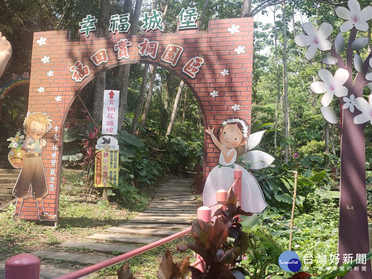 福田社區賞桐趣。圖/記者鄧富珍攝