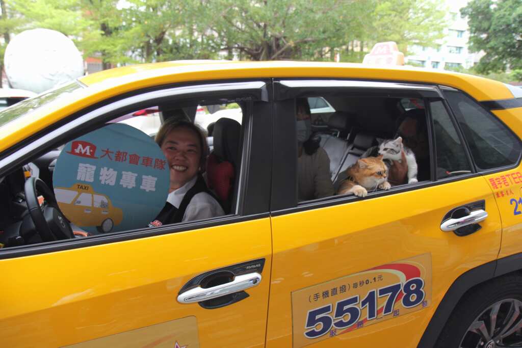中市推動寵物友善計程車，提供寵物與飼主便捷舒適的出行方式