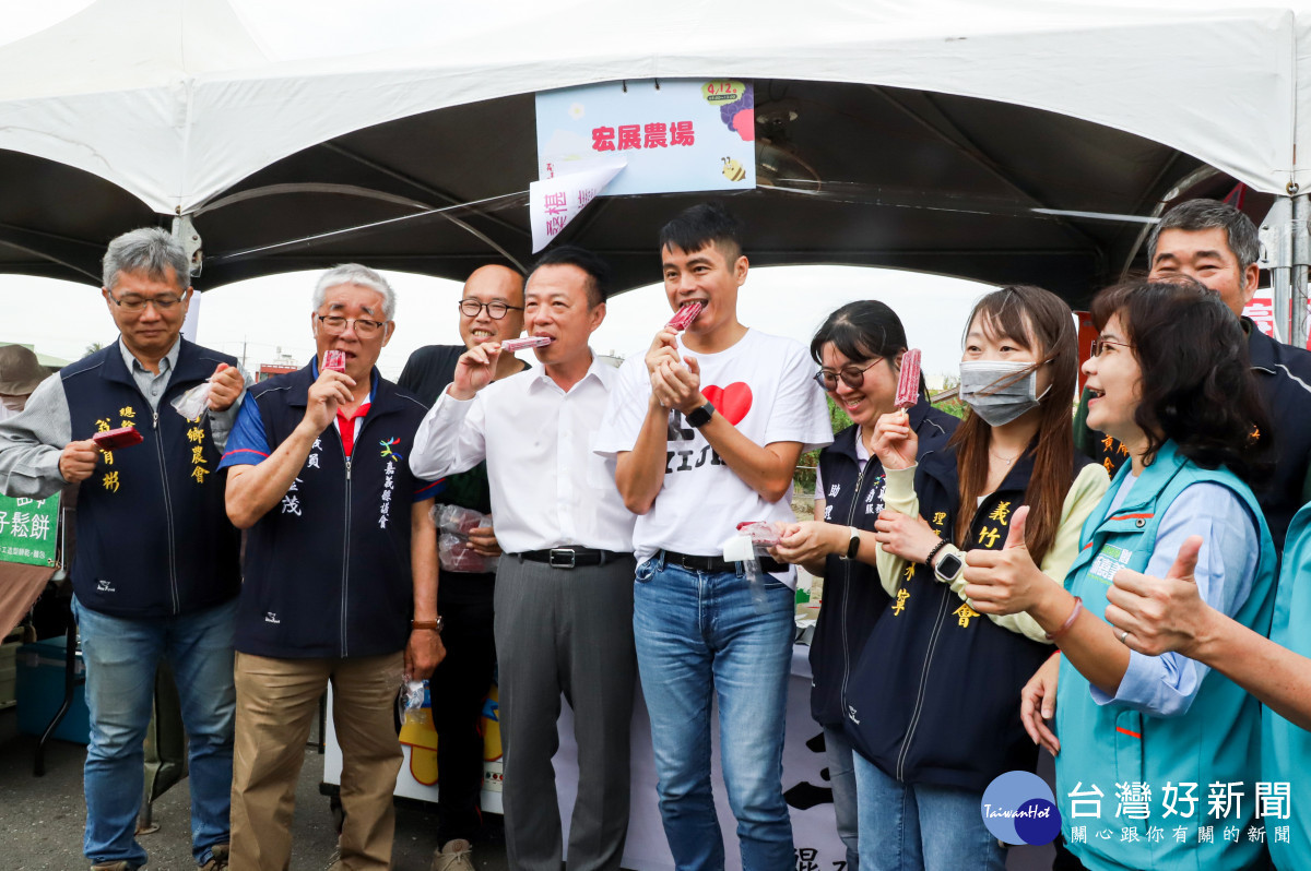 嘉義縣義竹鄉公所今天舉辦「義竹攏來桑」桑椹行銷推廣活動/嘉義縣府提供