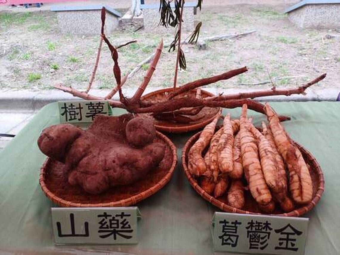 台南左鎮白堊節山薯蕉合推廣農村產業文化