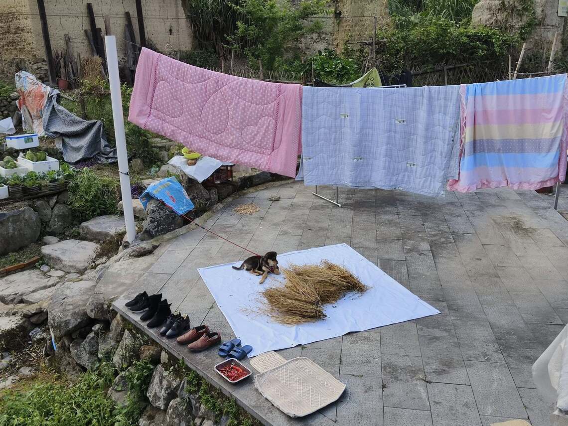 這張福建泉州農村圖，古代一個字  就是指這情境