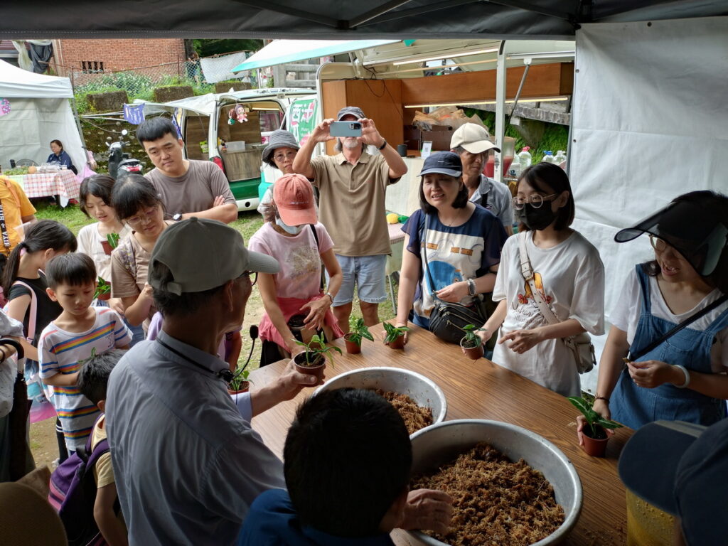 黑天鵝絨海芋苔球DIY體驗_