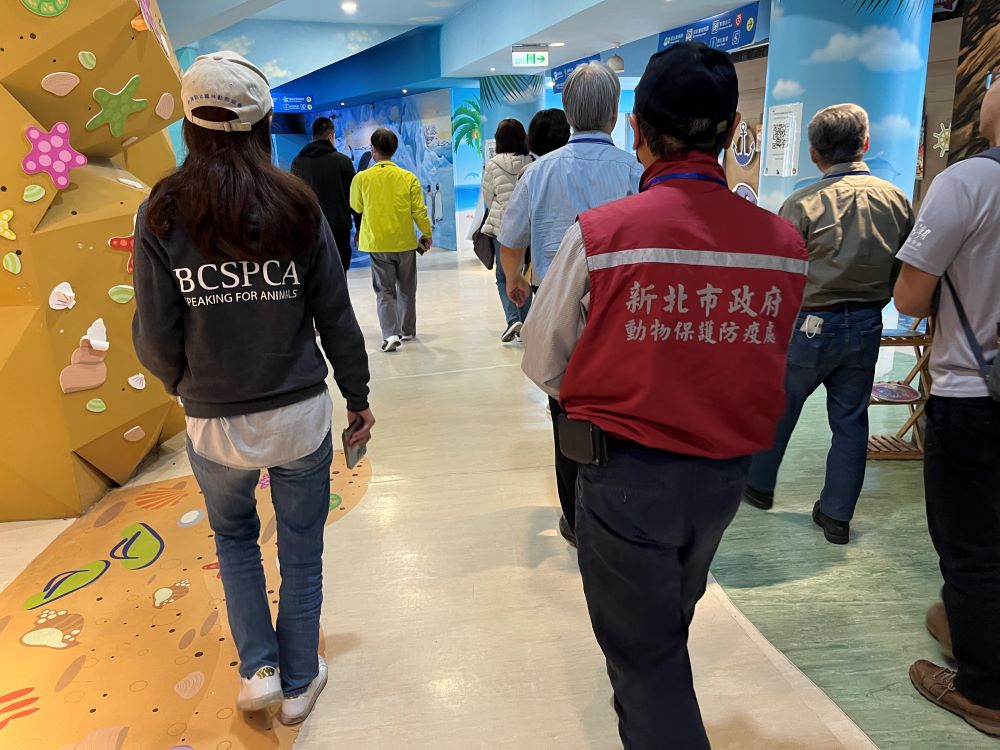《圖說》海洋保育類鯨豚展演輔導小組輔導。〈動保處提供〉