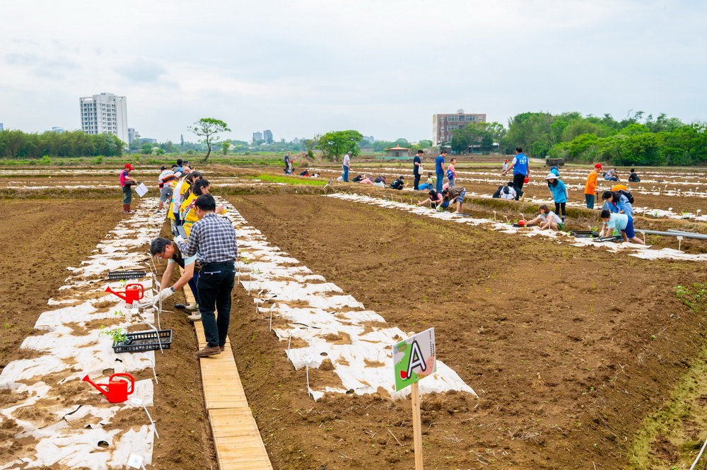 桃園市大園區溪海休閒農業區西瓜節　民眾體驗「種瓜得瓜」樂趣