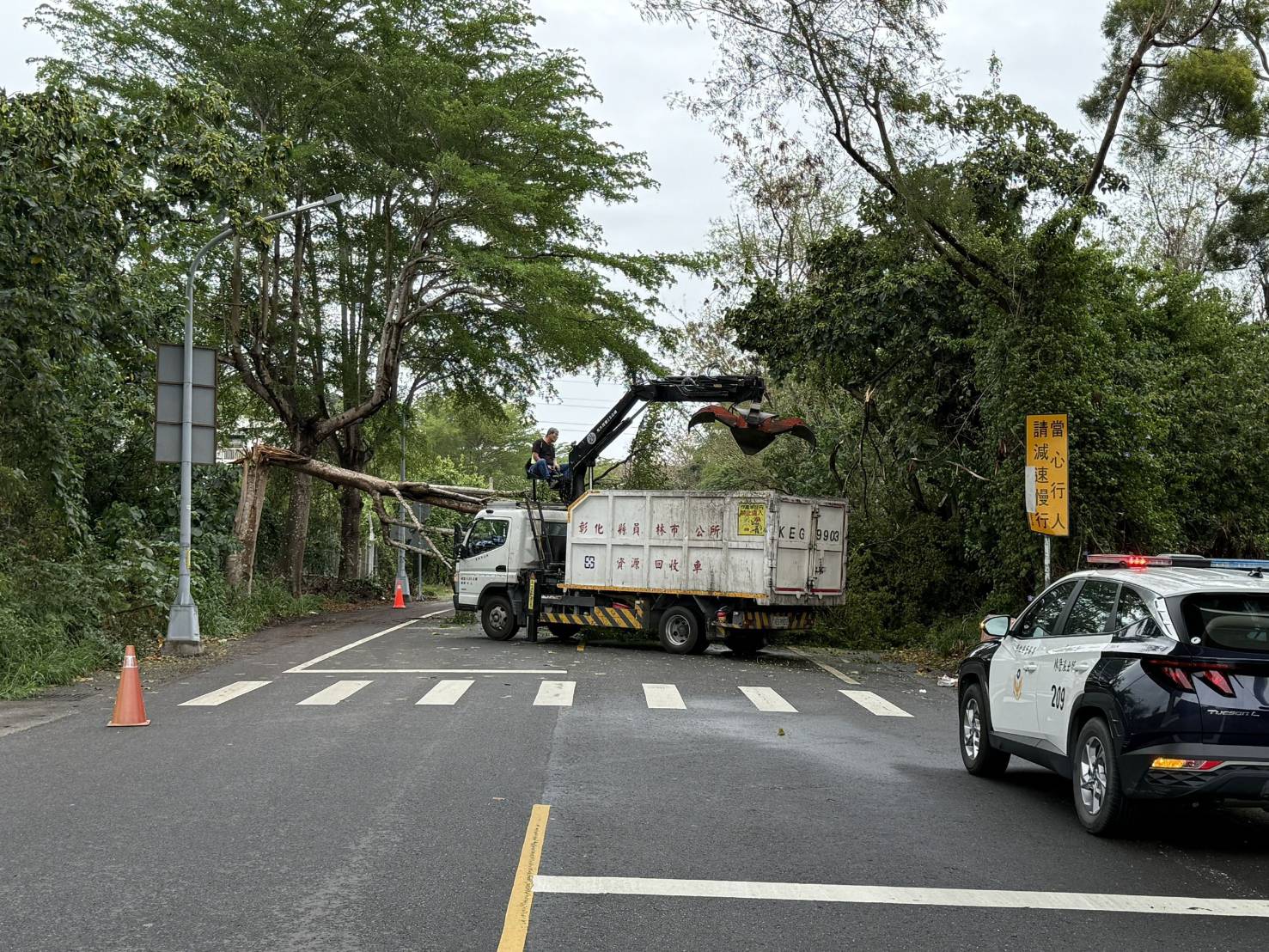 路樹倒塌阻車道　員南路發生路樹倒擋道　女騎士撞上重傷送醫 - https://www.watchmedia01.com