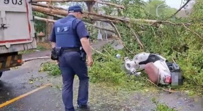 路樹倒塌阻車道　員南路發生路樹倒擋道　女騎士撞上重傷送醫 - https://www.watchmedia01.com