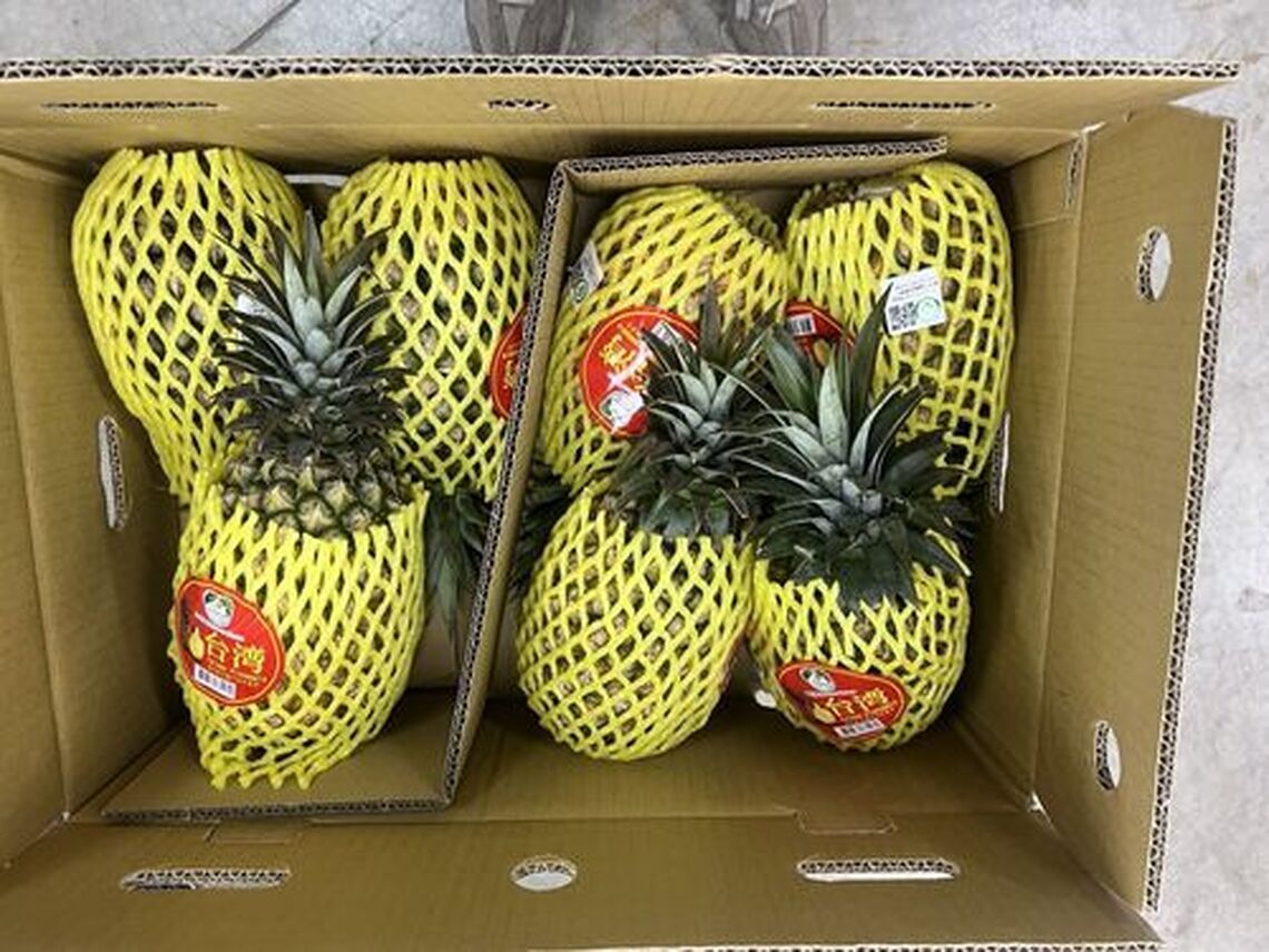 新加坡食品展後台南首批鳳梨6噸今裝櫃