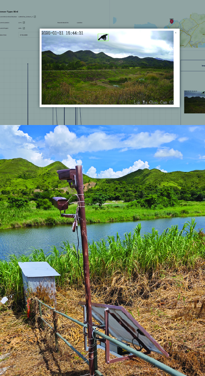 物流及供應鏈多元技術研發中心 於第50屆日內瓦國際發明展勇奪3銀1銅 及於2025年愛迪生獎™獲1金1銀佳績