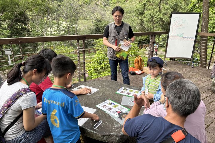 森林螢光點點遊 八仙山自然教育中心「童螢季」開放報名