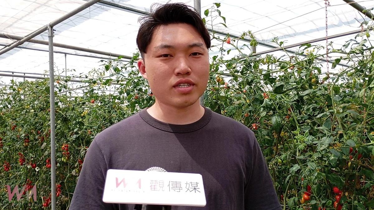 返鄉青年創新防治!蘇員億以椿象抗粉蝨、成功延長小蕃茄收成期 - https://www.watchmedia01.com