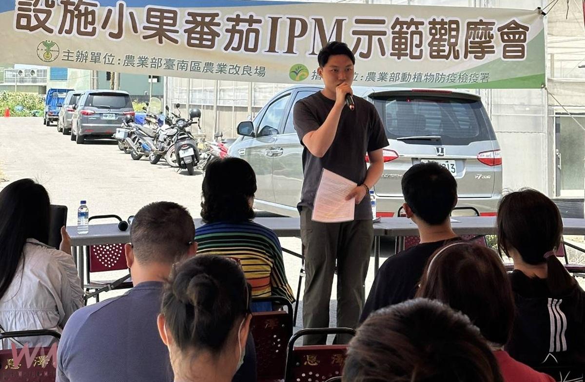 返鄉青年創新防治!蘇員億以椿象抗粉蝨、成功延長小蕃茄收成期 - https://www.watchmedia01.com