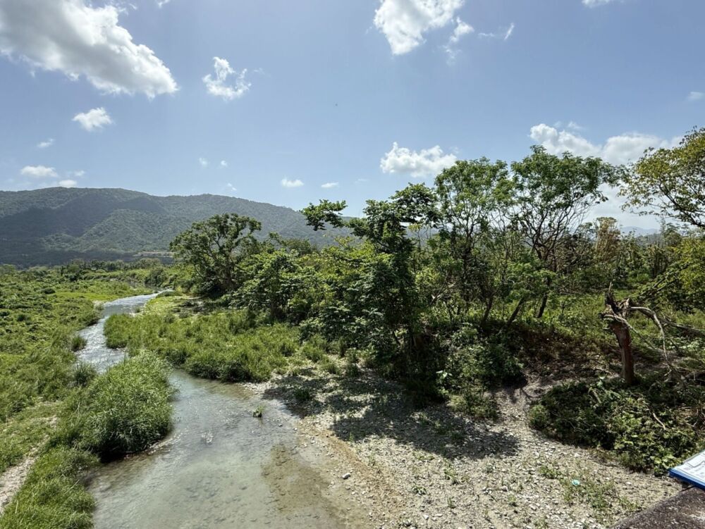 鳳林大忠橋下淤積威脅農地安全　張峻相助建請相關部門盡速整治 245