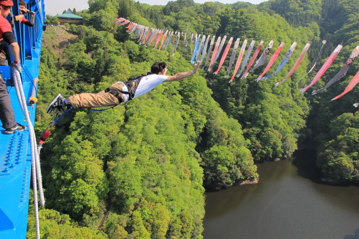 春天遊日必訪!粉蝶花藍海來接棒 探索茨城魅力