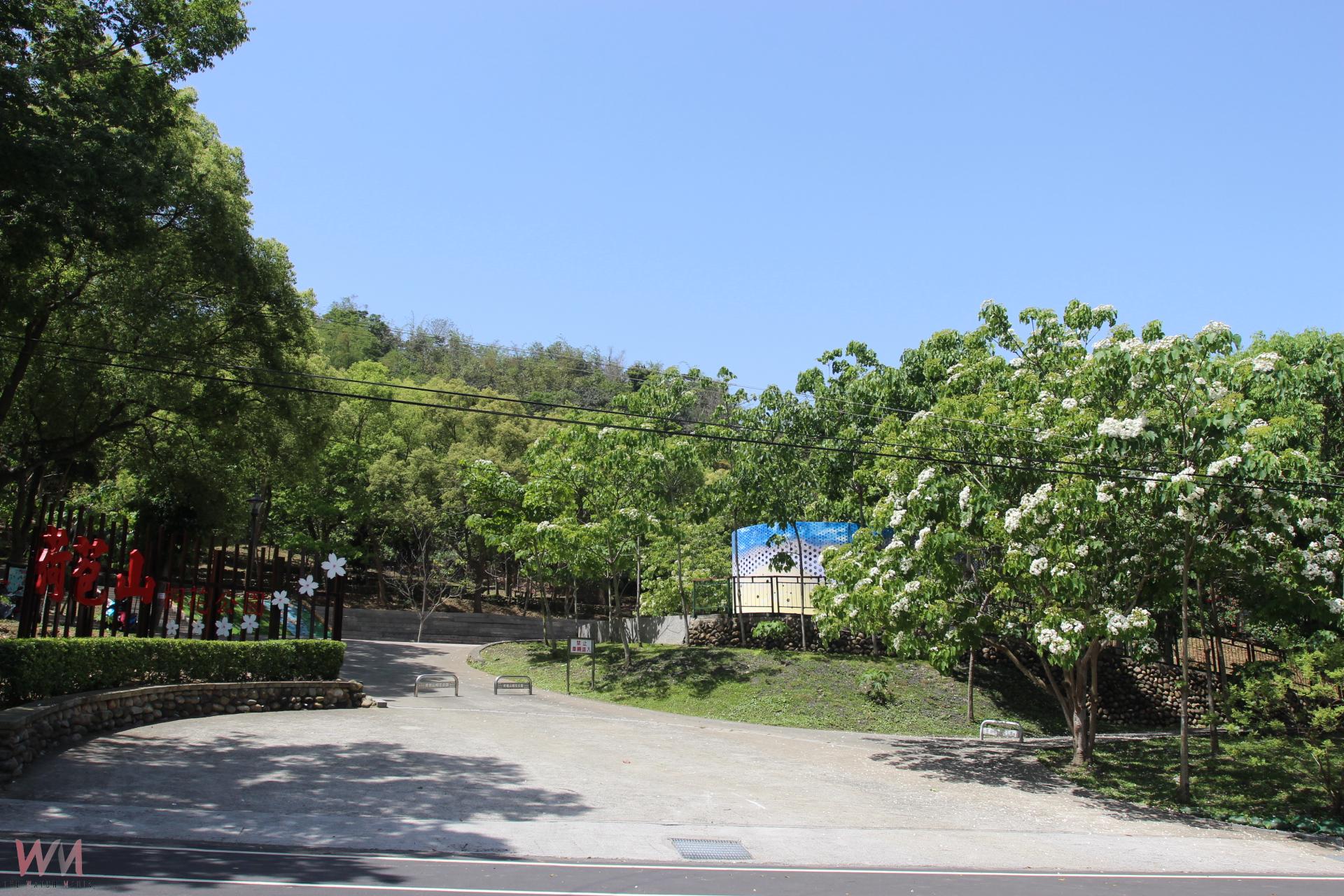 雲林桐花祭荷苞公園賞花趣 漫遊山園踏花雪品咖啡 - https://www.watchmedia01.com