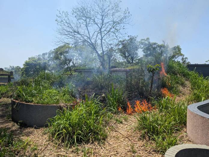 大溪墓地火警!7旬翁滅火摔倒燒燙傷 失去呼吸心跳送醫搶救 58 S 15024508 0
