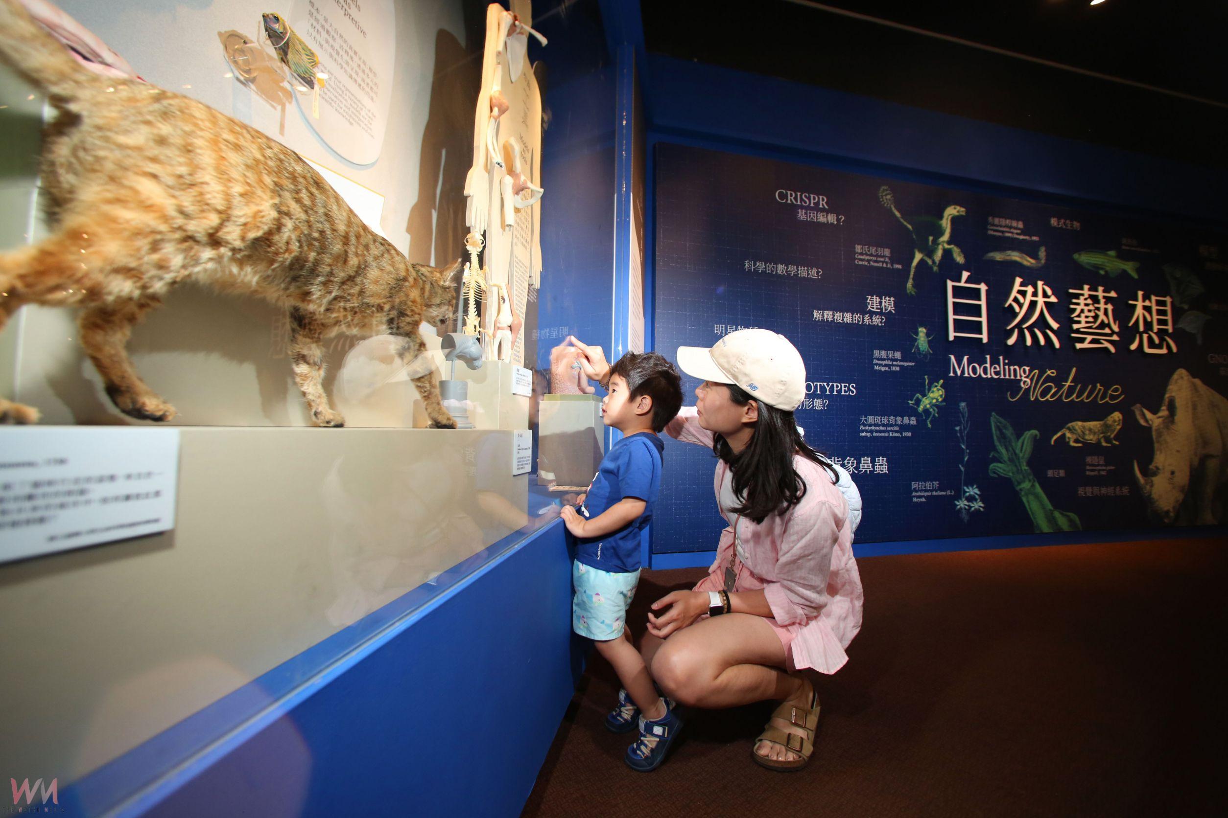 融入科學與藝術!科博館《自然藝想》開展 標本與模型交織大千世界 - https://www.watchmedia01.com