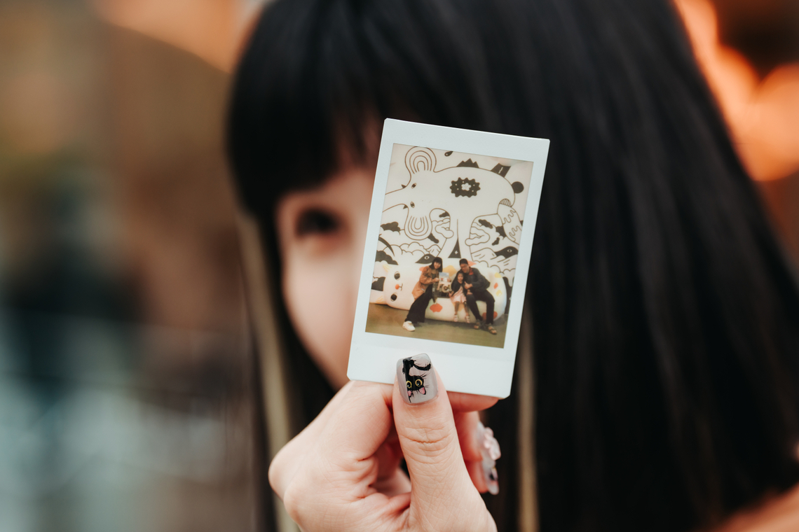 圖/貓咪也能看電影!內惟藝術中心18隻貓主包場《喵的奇幻漂流》。(內惟藝術中心提供)